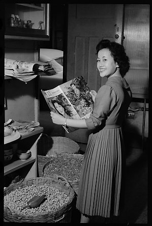 Chinese in Sydney, October 1959 / photographs by Ivan