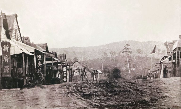 Chinese Camp Beechworth c.1859 image 2677